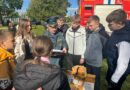 Единый день безопасности прошел в Дубровно
