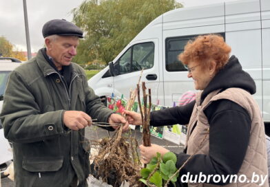 В Дубровенском  районе стартовал  сезон осенних ярмарок