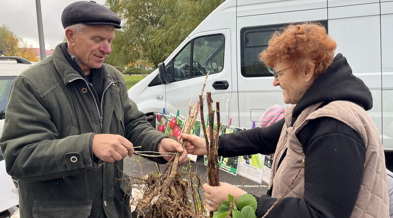 В Дубровенском  районе стартовал  сезон осенних ярмарок