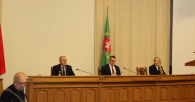 Дубровно, Витебск, ВНС, делегаты