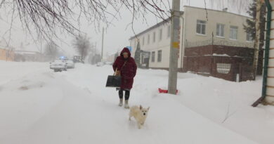 Дубровно,циклон