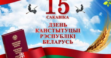 Дубровно, день конституции, поздравление