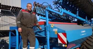 Дубровно, лен, посевная, весна