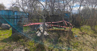 В Оршанском районе мужчина пострадал от взрыва снаряда времен ВОВ. Следователи проводят проверку