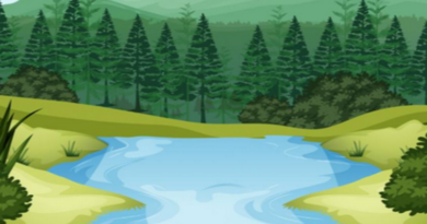 Дубровно, акция, Беларусь синеокая