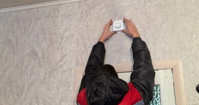 Дубровно, АПИ, безопасность