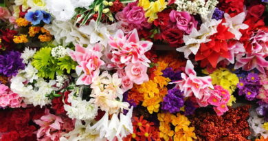 Дубровно, пластиковые цветы, вред