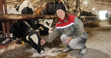 Дубровно, МТФ, Чижовка