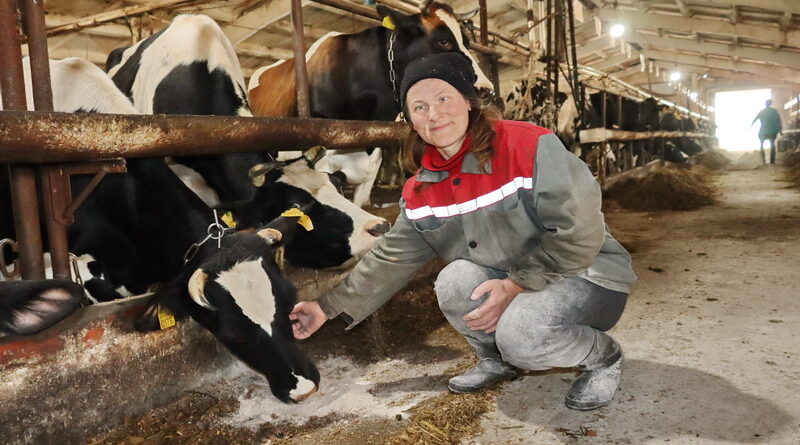 Дубровно, МТФ, Чижовка