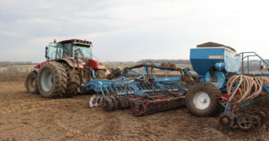 Дубровно, посевная, сев, весна