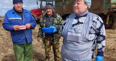Обед без отрыва от сева на дубровенских полях