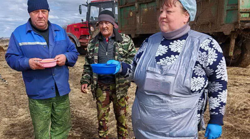 Дубровно, посевная, весна