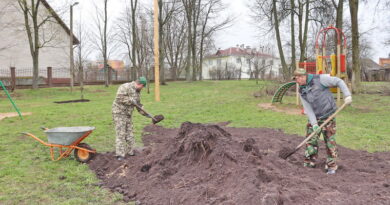 Дубровно, республиканский субботник