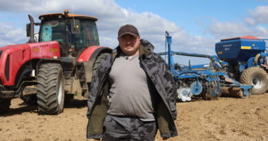 На Дубровенщине ведется сев ярового рапса