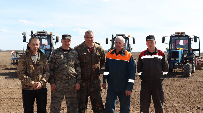 Дубровенские льноводы подходят к финишу посевной