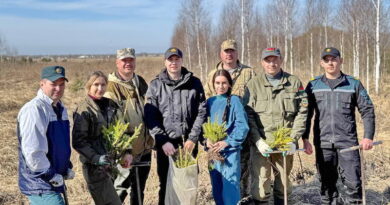 Дубровно, Лес, Добро, Порядок, Акция