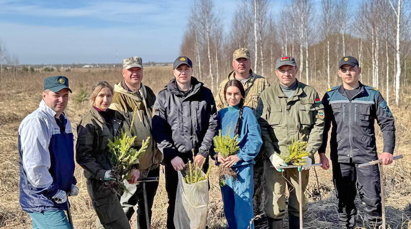 Дубровно, Лес, Добро, Порядок, Акция