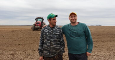 В Дубровенском районе продолжаются посевные работы