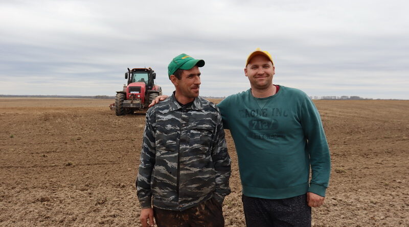 В Дубровенском районе продолжаются посевные работы