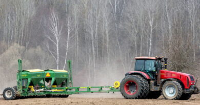 , Дубровно, весна, посевная, сев