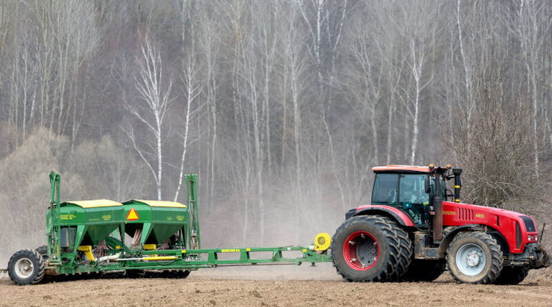 , Дубровно, весна, посевная, сев