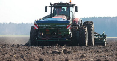 Дубровно, посевная, сев, весна