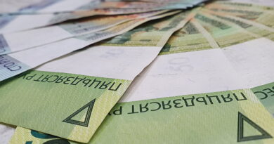 Дубровно, увеличение, суточные