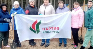 Дубровно, республиканский субботник