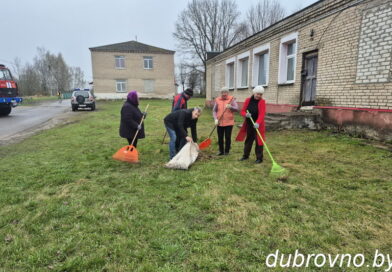 Республик субботник — все в деле! Эстафету райцентра подхватили сельсоветы (фото)
