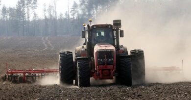 Дубровно, посевная, сев, весна