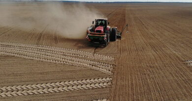 Дубровно, посевная, сев, весна