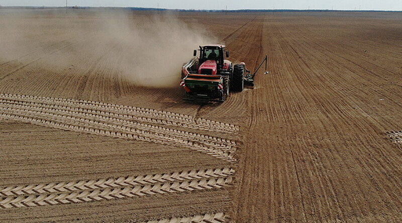 Дубровно, посевная, сев, весна