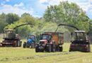 На Дубровенщине кормозаготовку ведут с учетом ввода новых молочно‑товарных комплексов На Дубровенщине кормозаготовку ведут с учетом ввода новых молочно‑товарных комплексов