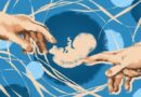 ЭКО — шанс стать родителями ЭКО — шанс стать родителями
