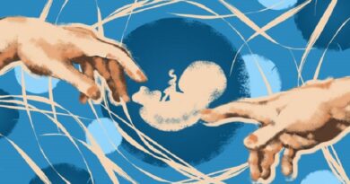 ЭКО — шанс стать родителями ЭКО — шанс стать родителями