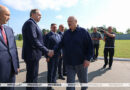 В графике Президента — тема животноводства. Лукашенко посещает хозяйство, где разводят красную породу коров