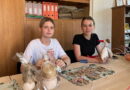 Дубровенские школьники выбирают трудовой отдых Дубровенские школьники выбирают трудовой отдых
