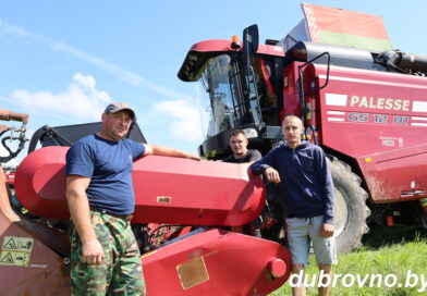На Дубровенщине стартовала уборка озимого рапса