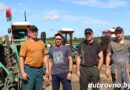 На дубровенских полях в разгаре льняная страда
