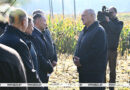 Лукашенко ознакомится с экспериментом по повышению плодородия почв Лукашенко ознакомится с экспериментом по повышению плодородия почв