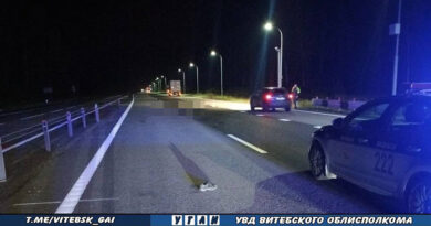 Смертельное ДТП в Дубровенском районе: водитель грузовика сбил пешехода
