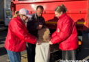 В Дубровно прошла сельскохозяйственная ярмарка В Дубровно прошла сельскохозяйственная ярмарка